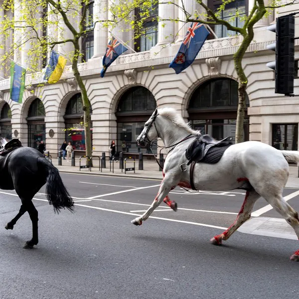 Caballos en Londres