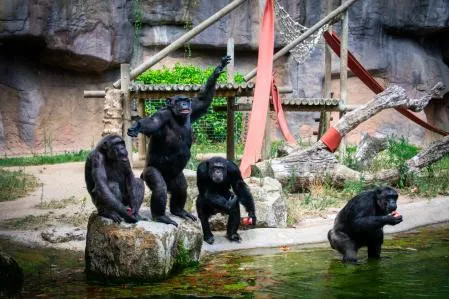 Zoo barcelona 1