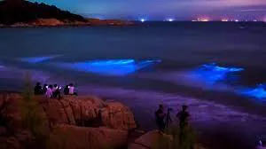 mar de china