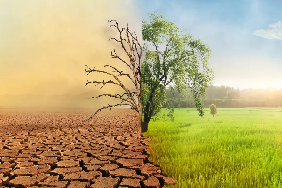 Cambio climático 