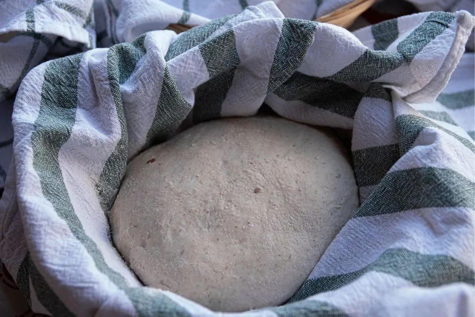 Focaccia  4