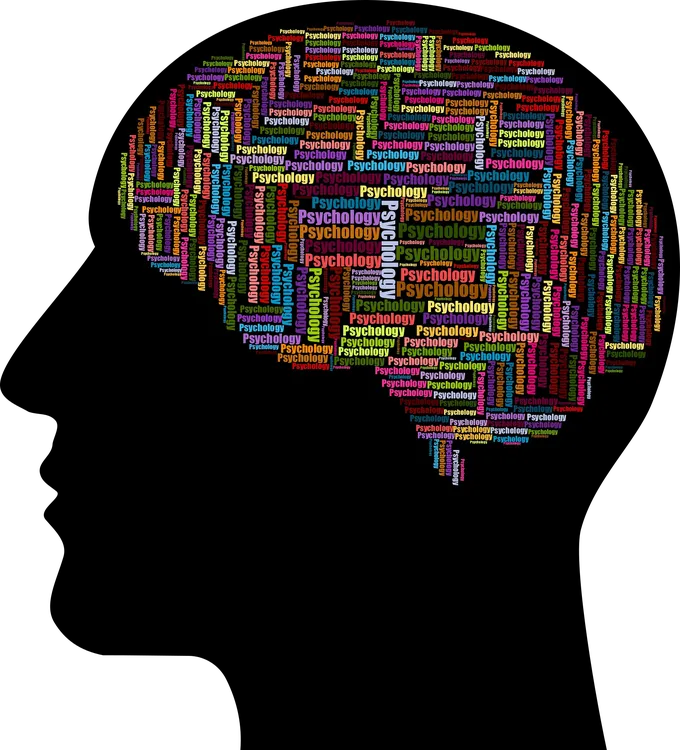 cranium-3350798_1920