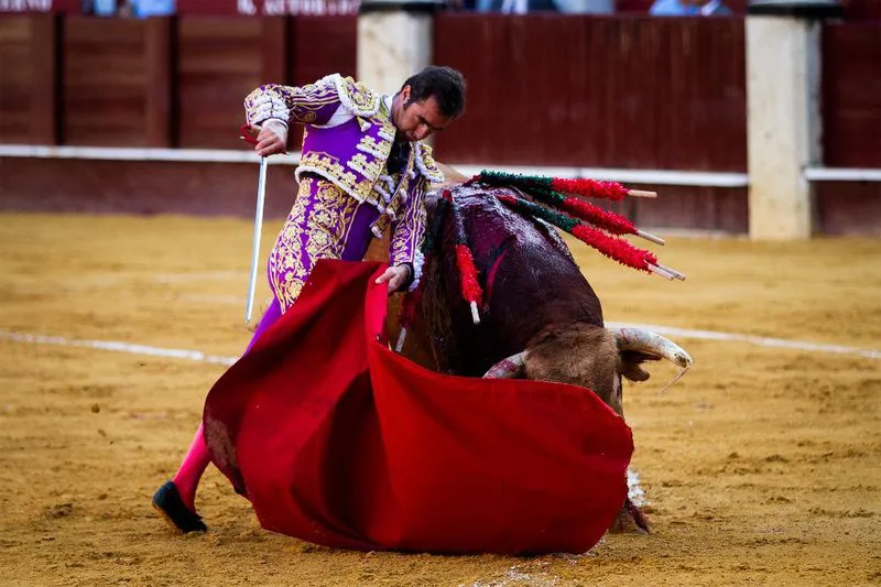 Torero español, David Fandila|Foto: Wikimedia Commons La iniciativa legislativa popular "No es mi cultura", que busca derogar la ley que declara la tauromaquia patrimonio cultural, supera su primer escollo en el Congreso gracias al apoyo clave del PSOE, quienes abogan por debatir la devolución de competencias a las autonomías.