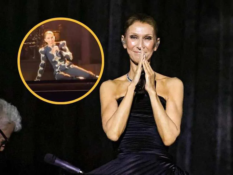 Celine Dion sufre una caída en pleno concierto en París