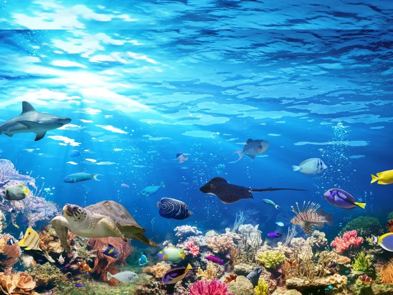 fondo-marino-con-arrecifes-de-coral-peces-tropicales-y-rayos-de-sol-filtrados-en-el-agua-azul