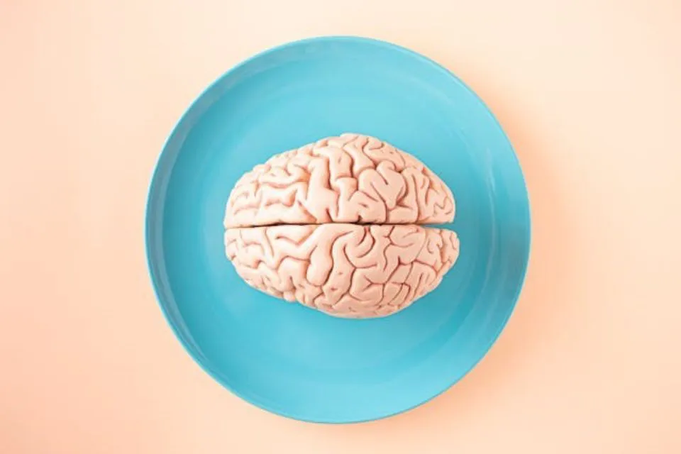 cerebro Alzheimer 