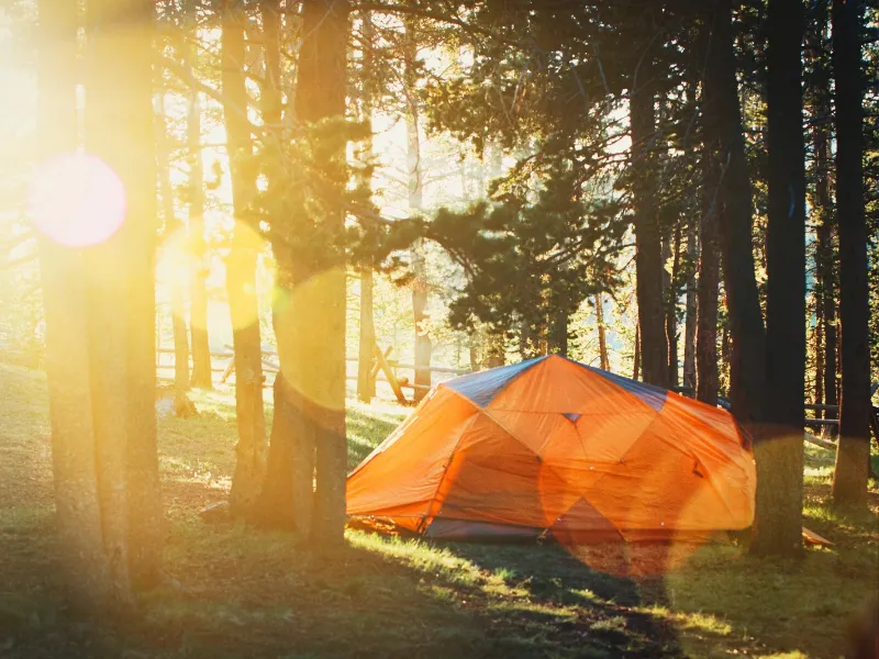 'Slow travel': la tendencia turística que transforma la forma de viajar en 2025 Descubre por qué el 'slow travel' se consolida como la nueva tendencia turística: viajes sin prisas, con conexión cultural y estancias prolongadas
