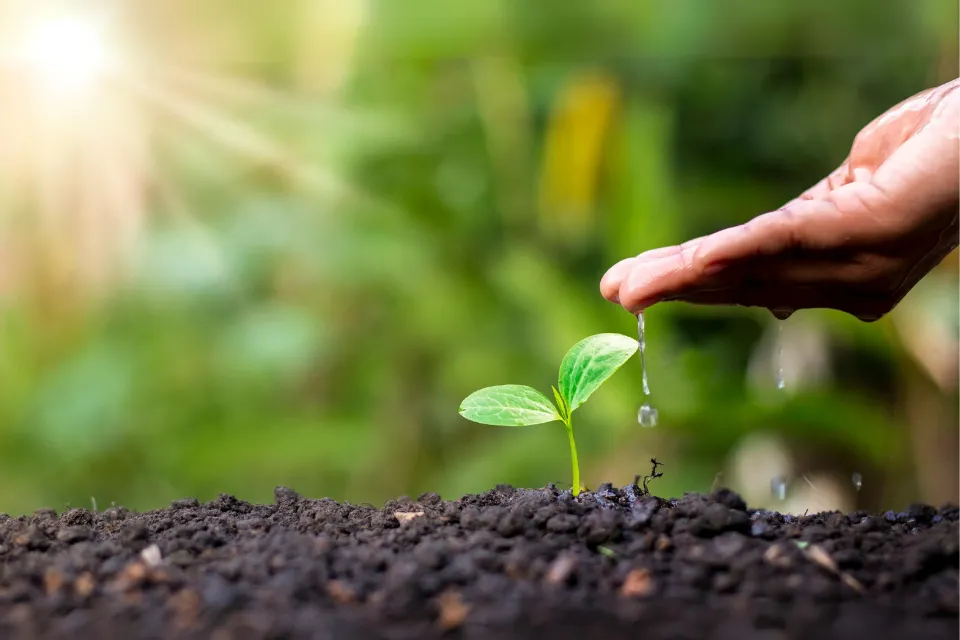Salud ambiental - 