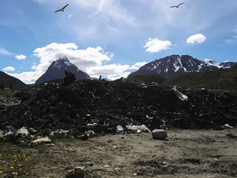 hantavirus-caso-cero-ushuaia-investigacion-vertedero|Foto: Getty 