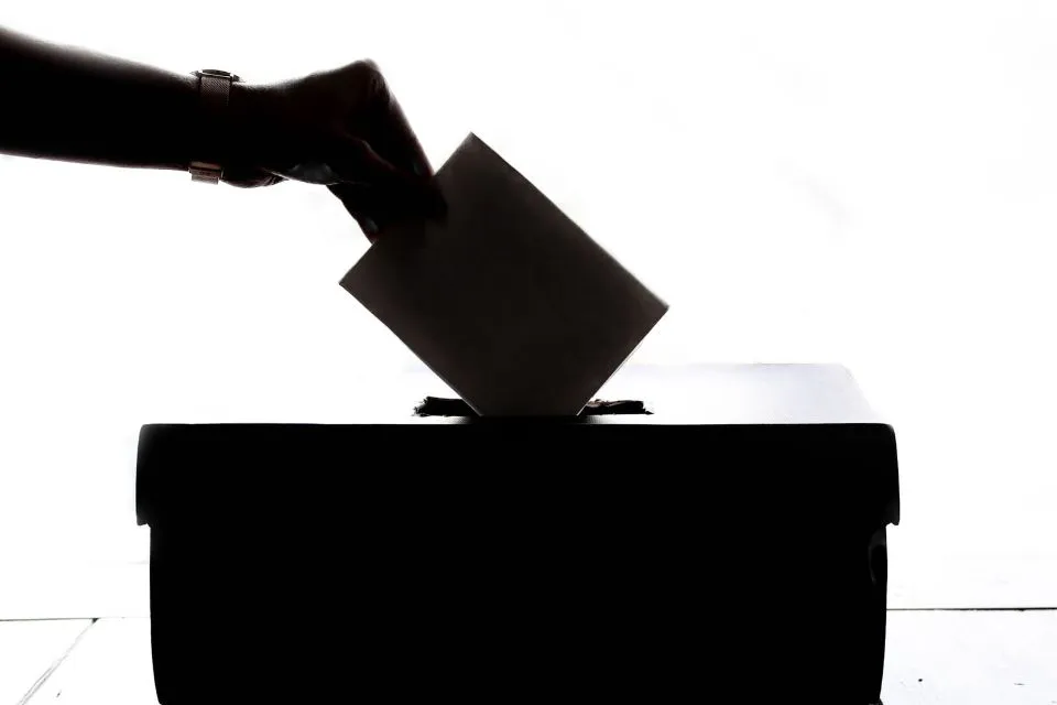 eleccionesvotos 