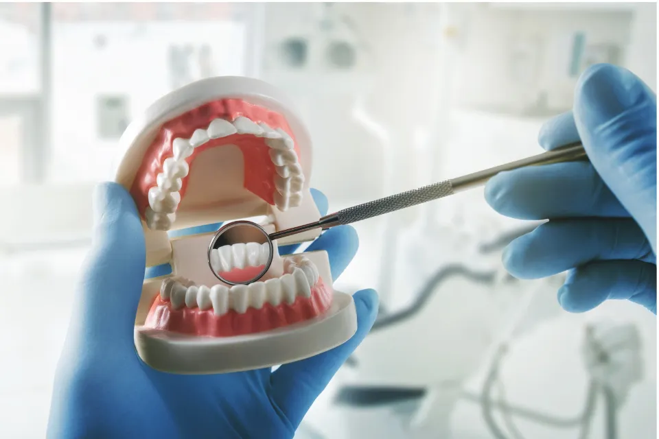 Salud dental 