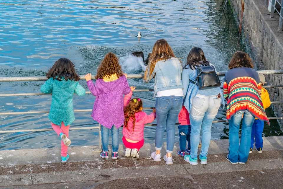 Unicef revela el porcentaje de mujeres de Latinoamérica y el Caribe que son afectadas por matrimonios siendo menores El 21% de las mujeres de Latinoamérica y el Caribe se ven afectadas por matrimonios siendo menores, según Unicef