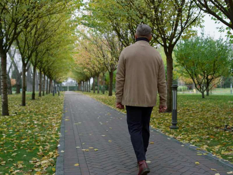 Una persona caminando por un parque arbolado y limpio en una ciudad con aire despejado