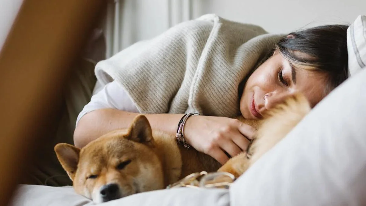 Dormir con tu perro    Foto: PEXELS