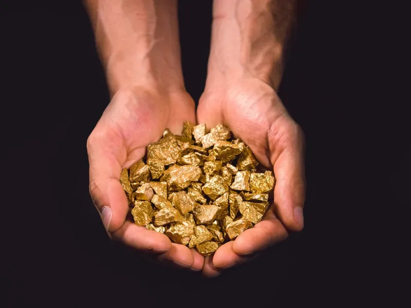 oro-vegetal-fitomineria-ciencia La fitominería convierte en realidad el mito del oro vegetal: plantas capaces de absorber y concentrar metales preciosos en sus hojas