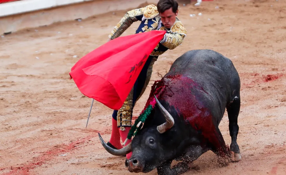 Tauromaquina 