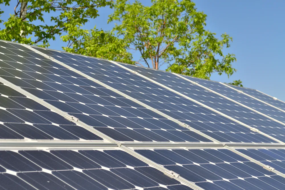 panel solar - empleo