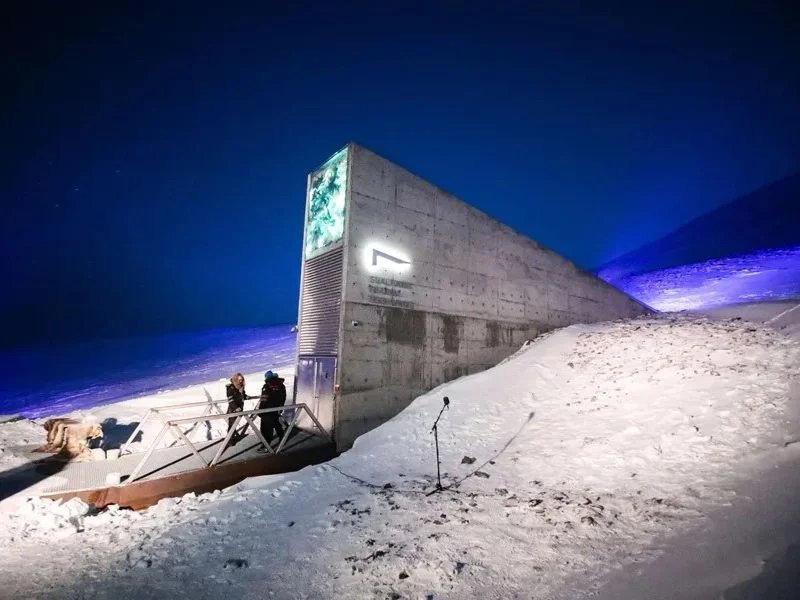 entrada-de-hormigon-de-la-boveda-de-semillas-en-el-paisaje-nevado-de-svalbard|Foto: EFE 