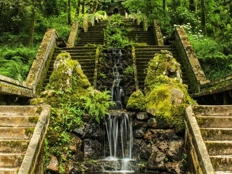 Sendero rodeado de frondosa vegetación y árboles centenarios en la Mata Nacional do Bucaco|Foto: Turismo Cent