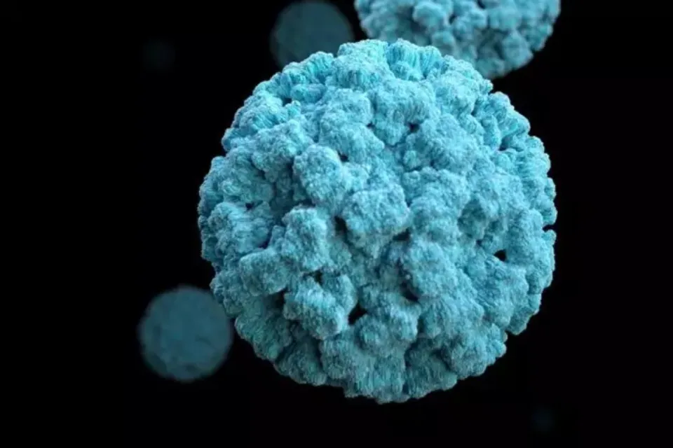 Norovirus - Europa Press/CDC