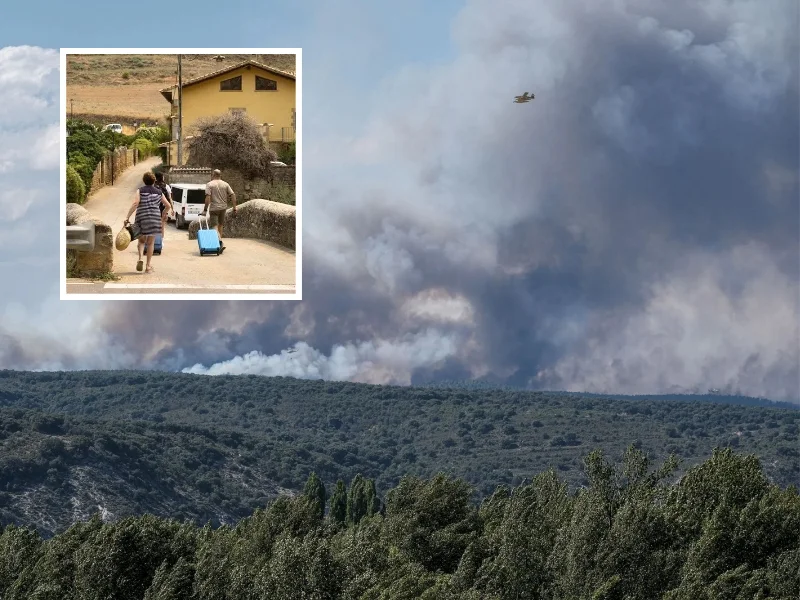 incendios-guadalajara-zaragoza-investigacion