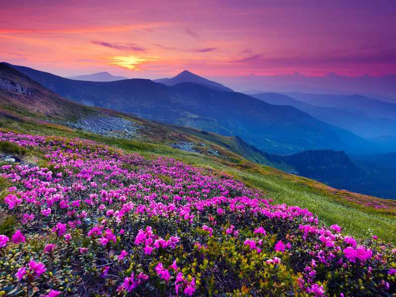 Vista panorámica de un paisaje natural poco concurrido con montañas y vegetación al atardecer