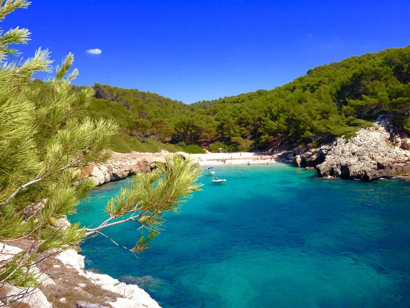 aguas-cristalinas-y-bosque-de-pinos-en-menorca