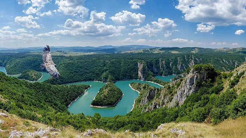 Serbia - Getty Images