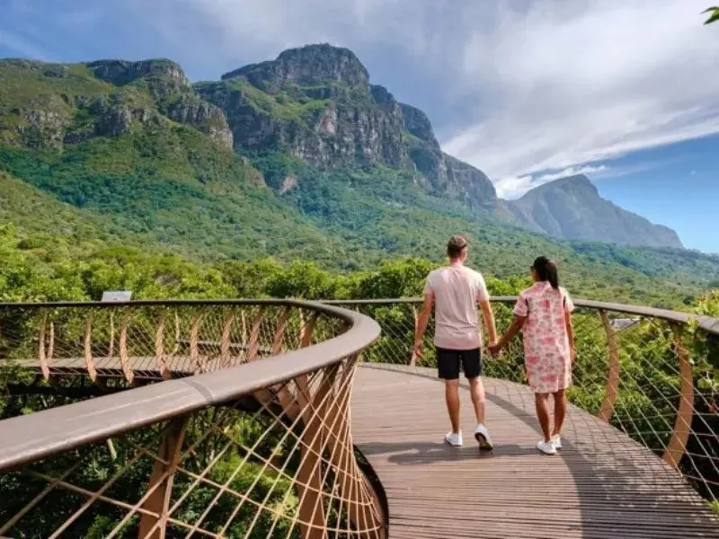Jardín Botánico Nacional Kirstenbosch en Ciudad del Cabo|Foto: Europa Press/South African Tourism Descubre por qué Ciudad del Cabo es el destino de luna de miel más buscado en 2025: lujo, naturaleza, cultura y experiencias únicas para parejas
