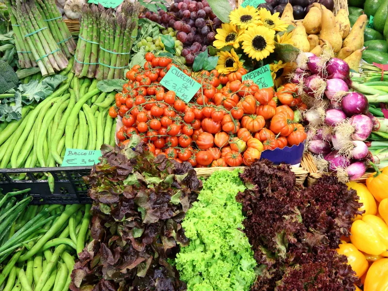 Regreso de vacaciones con una 'Operación Despensa' más cara: sube un 1,9%  La “Operación Despensa” eleva la demanda de alimentos básicos tras las vacaciones de verano. Precios y consumo en alza en septiembre