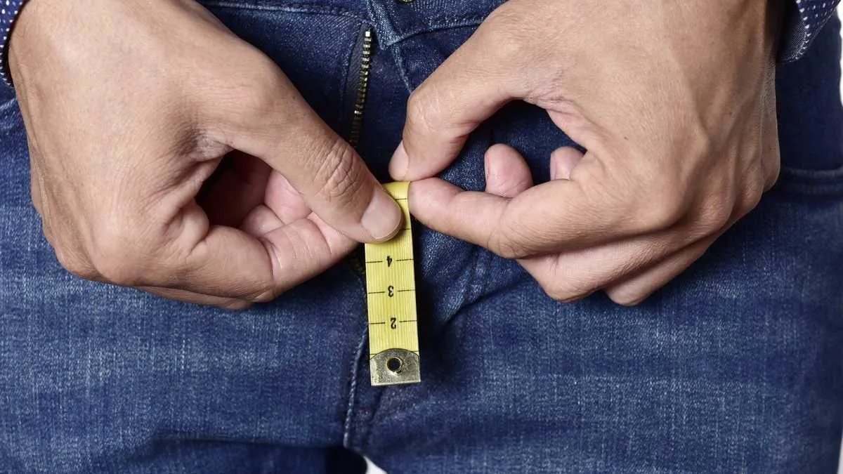 El tamaño del pene 