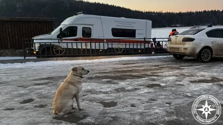 Una perra llamada Belka lleva cuatro días esperando a su amo que murió ahogado. EFE-Departamento de Emergencias de la república rusa de Bashkiria