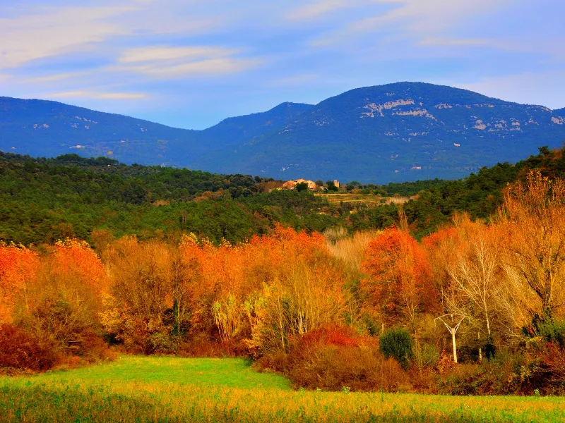 El otoño arranca con espectáculo celeste y una caída de las temperaturas El otoño 2025 arranca con cielos activos, bajada de temperaturas, lluvias de meteoros y cambio de hora. Consulta fechas y fenómenos astronómicos destacados
