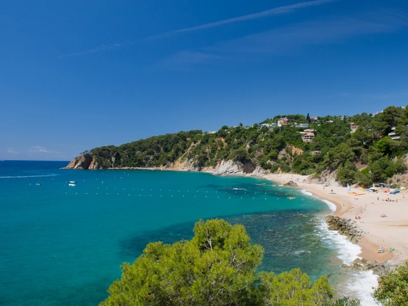 Vista panorámica de una cala de aguas turquesas rodeada de pinos en la Costa Brava