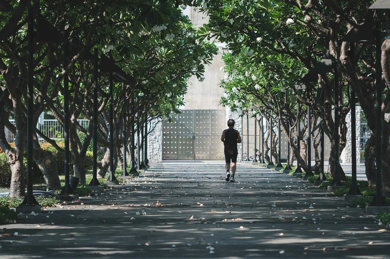man-6542646_1280