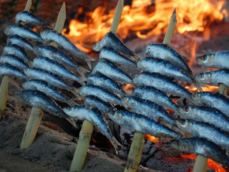 El espeto de sardinas en Málaga: técnica, origen y temporada