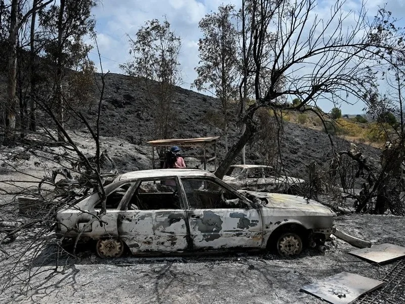 Daños ocasionados por el incendio forestal en Los Gallardos, Almería|Foto: EFE