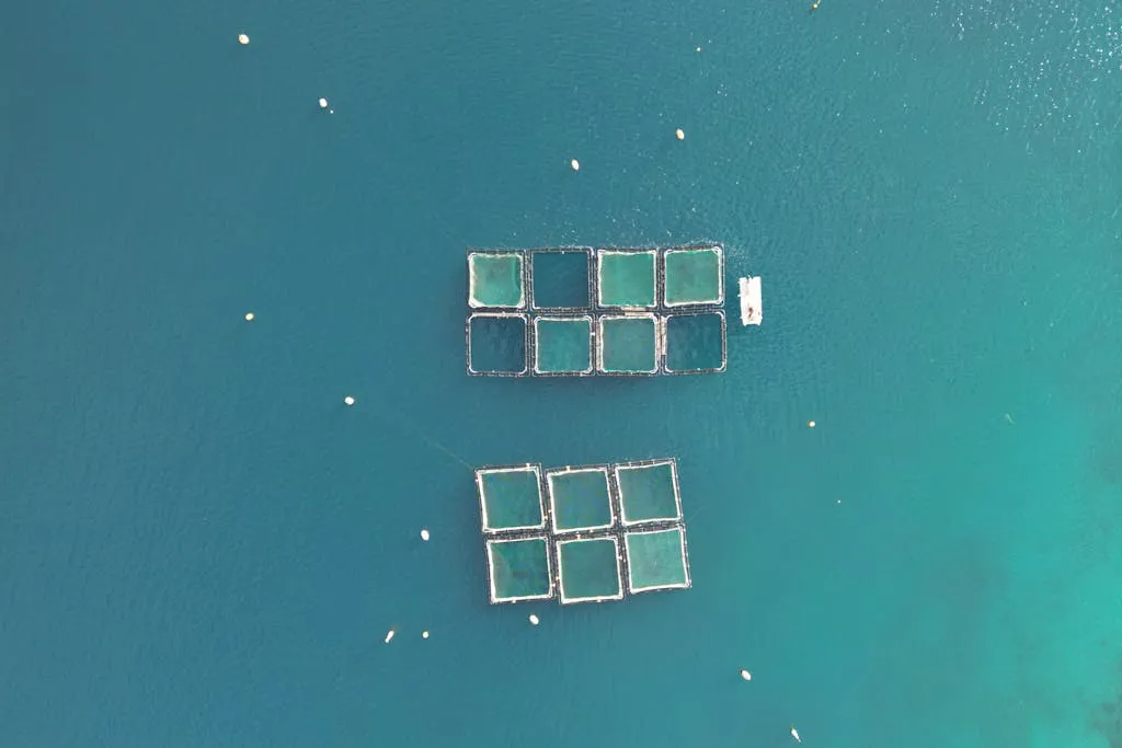 Cultivando el futuro en el agua Salud y Bienestar