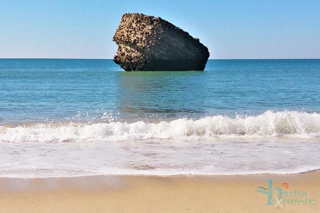 que-hacer-en-matalascanas-huelva