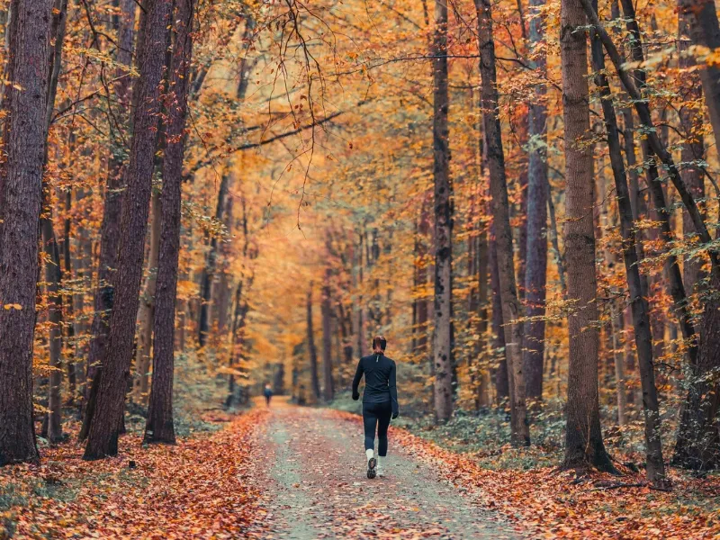 Top 6 de rutas de senderismo cerca de Madrid para disfrutar el otoño  Descubre seis rutas de senderismo cerca de Madrid para vivir el otoño entre hayedos, castañares y abedulares con paisajes únicos y accesibles