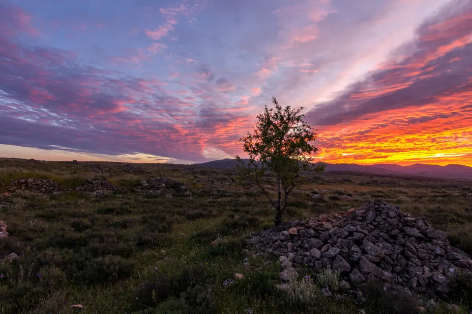 Jaén - paisaje - atardecer 