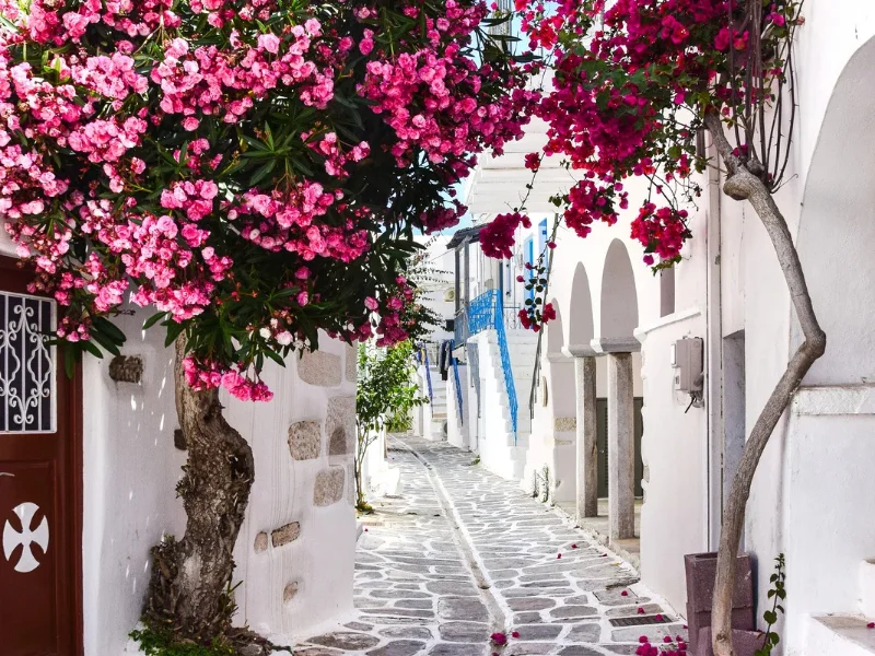 una-calle-estrecha-con-casas-blancas-y-flores-en-un-pueblo-mediterraneo