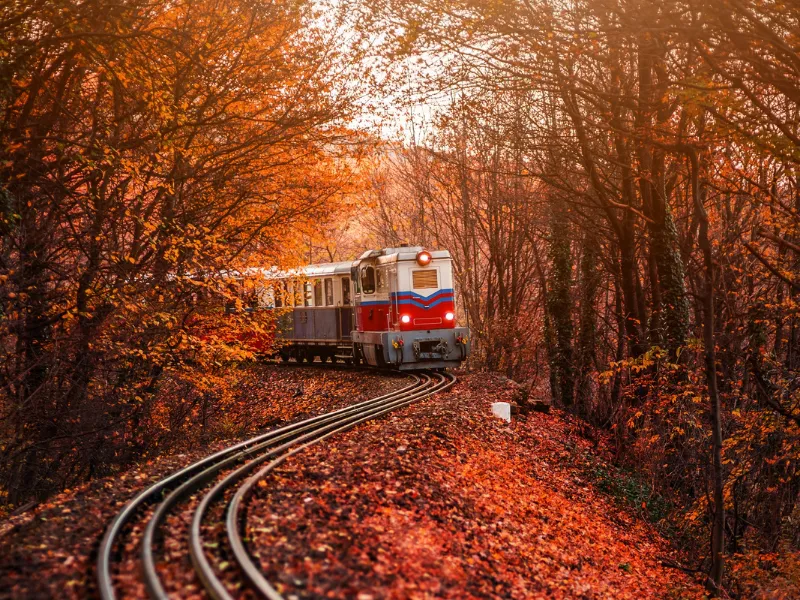 Cinco rutas otoñales en tren para escapar del turismo masivo Descubre cinco rutas en tren por Europa para disfrutar del otoño: paisajes alpinos, arte, historia y turismo sostenible en temporada baja

