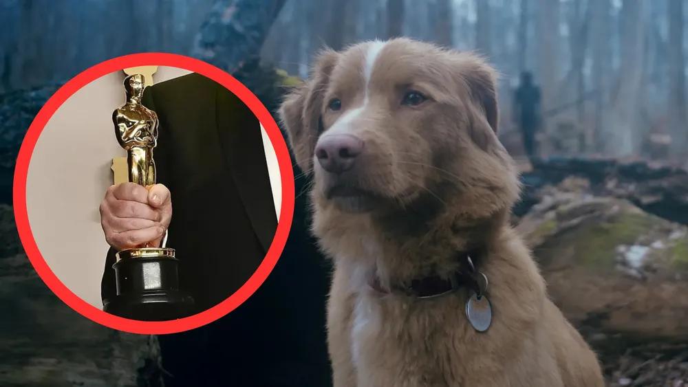 Indy, el can de 'Good Boy' es nominado en el Astra Film Awards 2026. Foto: IGN La Academia es presionada con una campaña sin precedentes que pide aceptar las nominaciones de animales, esto tras la nominación del can de 'Good Boy' en los Astra Film Awards 2026.