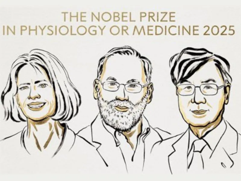 El Nobel de medicina premia tres científicos por la tolerancia inmune periférica|Foto: Europa Press/Nobel  Tres científicos reciben el Nobel de Medicina 2025 por sus descubrimientos que revolucionan la inmunología

