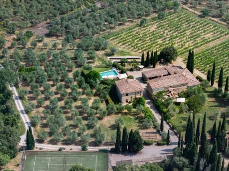 nuevo-lujo-vivir-entre-vinedos|Foto: El Confidencial/(Engel&Völkers) La élite internacional sustituye yates y villas por bodegas privadas. El lujo ahora es invertir en viñedos y disfrutar de la experiencia de producir vino propio