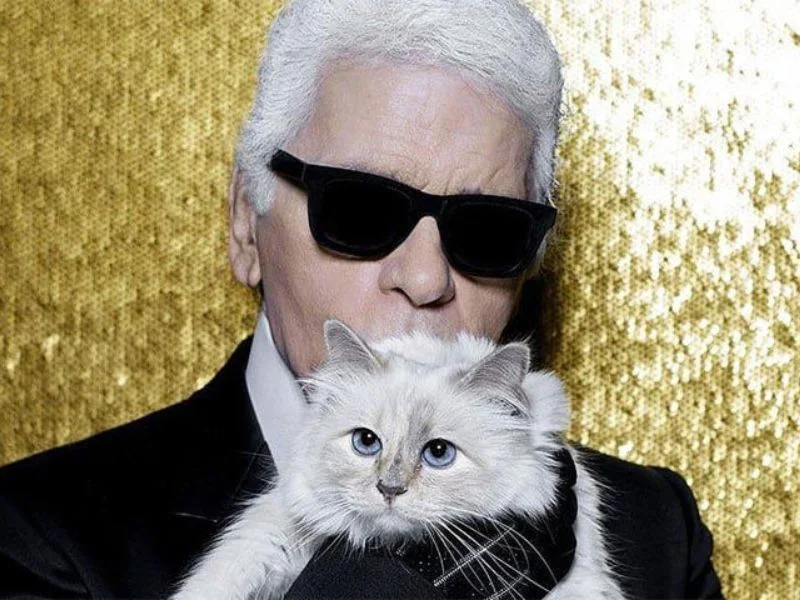 choupette-gata-karl-lagerfeld-herencia-millonaria|Foto: @choupetteofficiel 