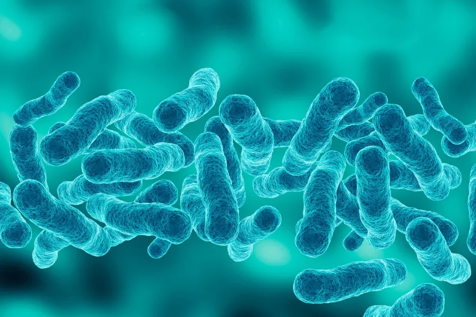 La tuberculosis al alza en España  La tuberculosis al alza en España: la enfermedad infecciosa que más muertes produce 