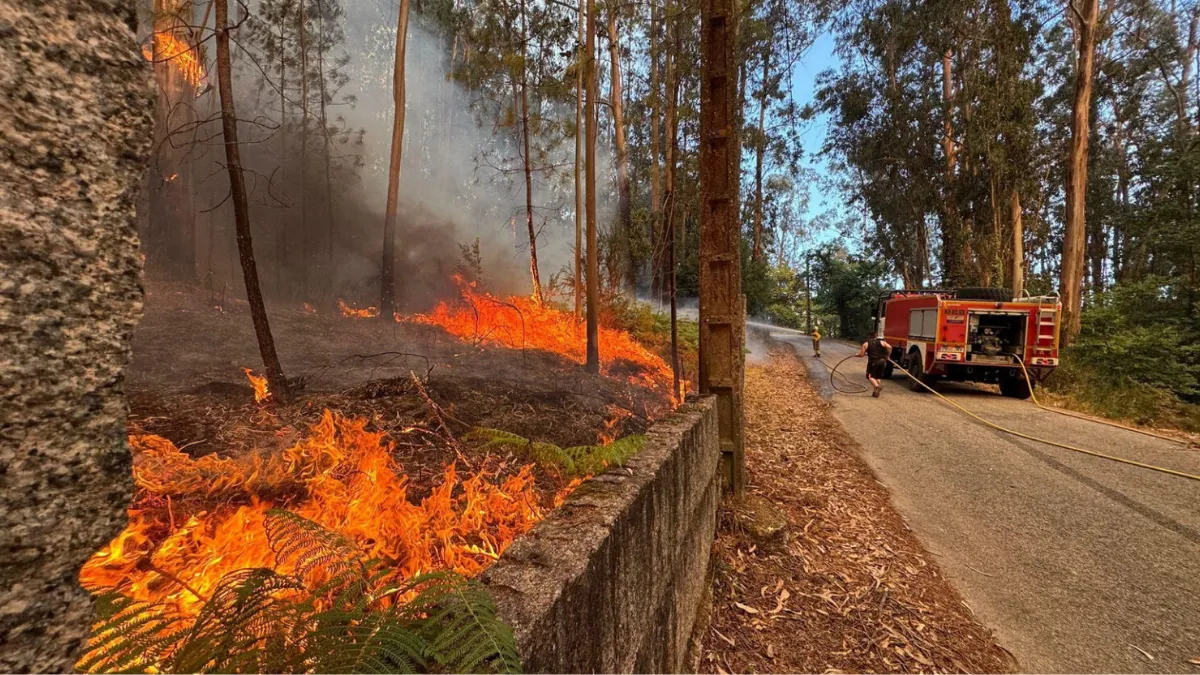 Las llamas han devastado aldeas, terrenos agrícolas y ganaderos en Galicia | Foto: Ideas Peregrinas Incendios forestales en Galicia: más de 90.000 hectáreas quemadas, con graves daños en aldeas, cultivos y ecosistemas. La imagen refleja el impacto ambiental de una de las peores olas de fuego en la región