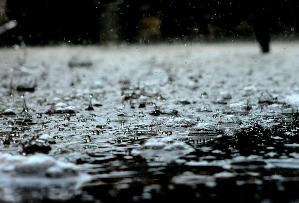 lluvias